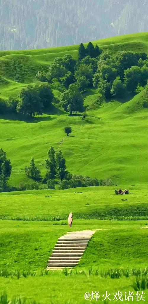 探索青青草原AV的独特魅力与风景