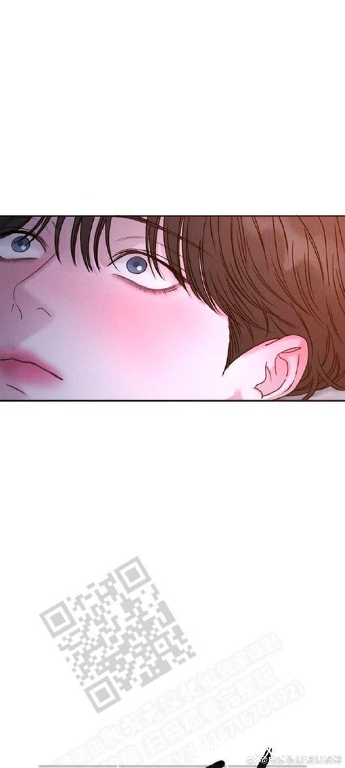 爱情岛论坛站长的秘密故事 爱情岛论坛站长的秘密故事